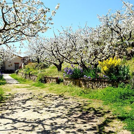 Casa Valeriana Villa Наваконсехо Екстериор снимка